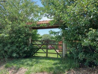 Ch�cara para Venda, em , bairro Morro Alto, 3 dormit�rios, 5 banheiros, 1 su�te, 10 vagas